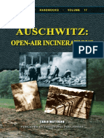 Auschwitz (Open-Air Incinerations)