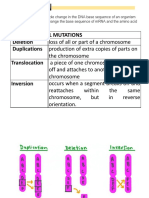 Nucleic Acids - Mutation & Diseases