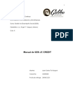 Trabajo Final Manual de GDS 22005993