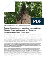 Article About The Tree Species "Dipteryx Hermetopascoaliana" 2022