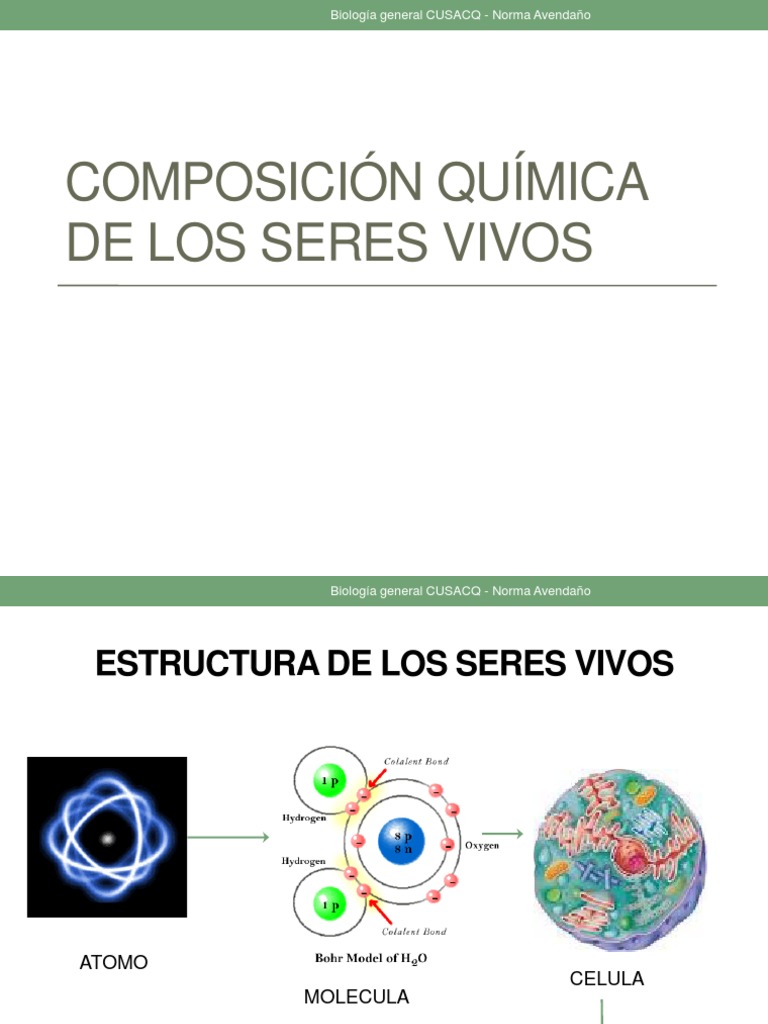 Composición Química de Los Seres Vivos | PDF