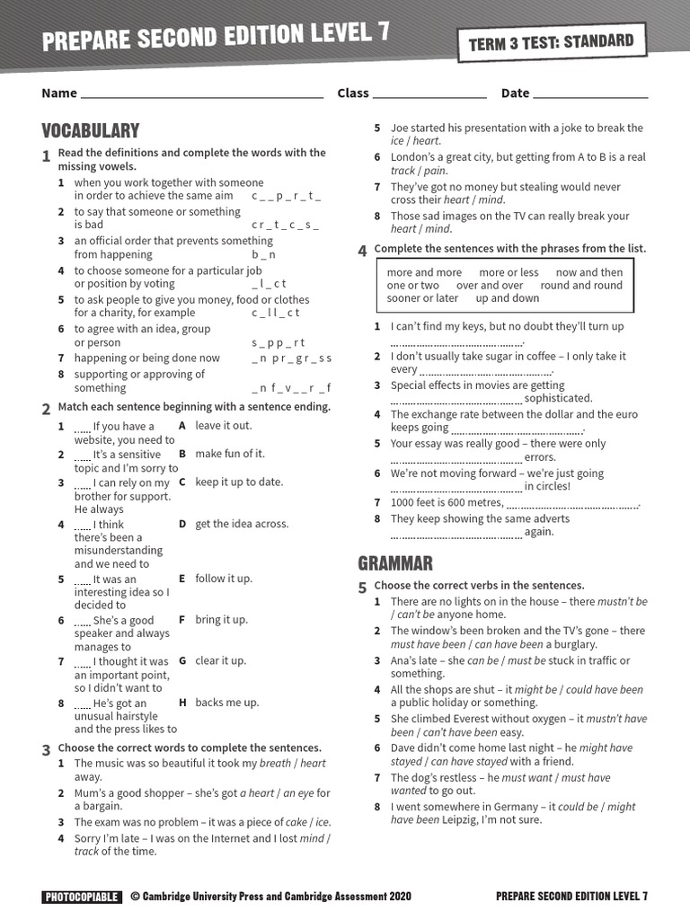 Level 7 Vocabulary and Grammar Test | PDF