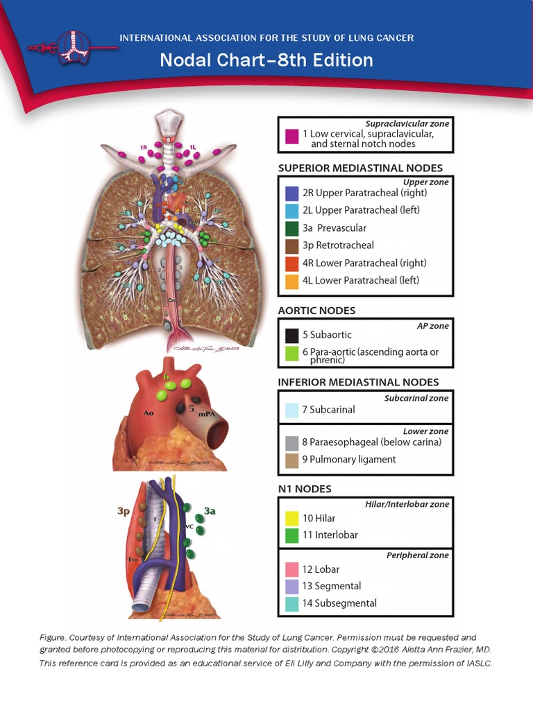 Nodal Chart-8th Edition | PDF