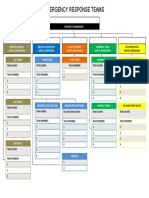 Emergency Team Structure Chart