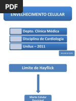 Envelhecimento Cardiovascular 2011
