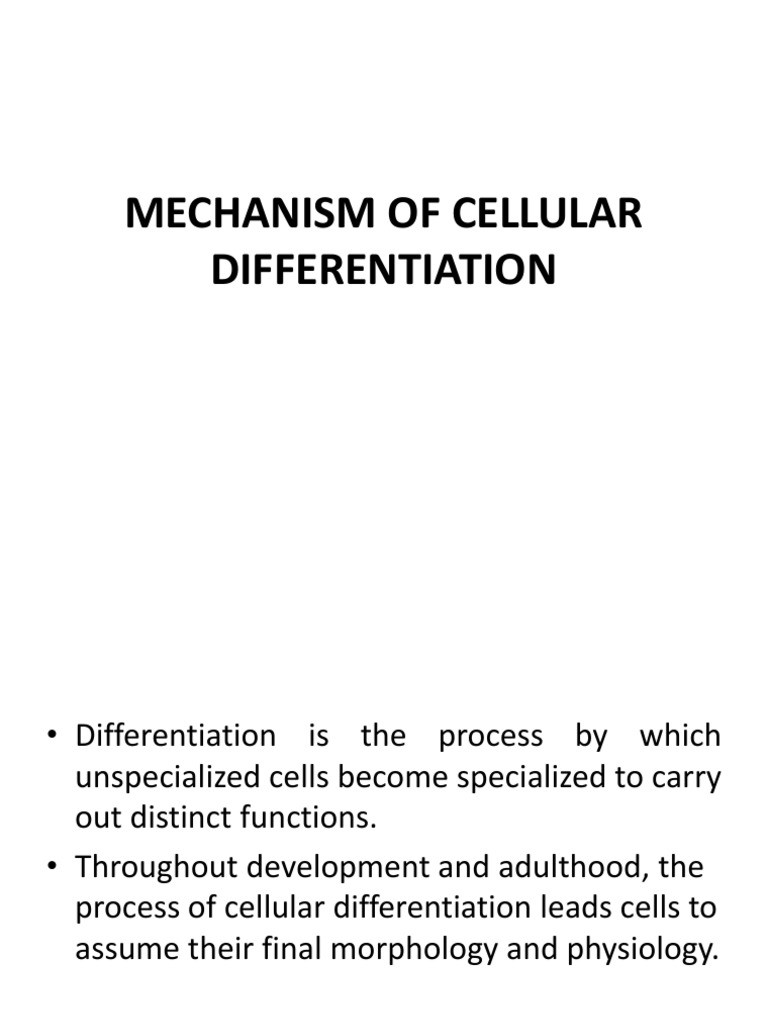Different Types Of Differentiation Maths