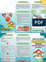 Leaflet Frambusia