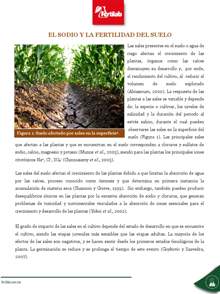 Efectos del sodio en la fertilidad del suelo | PDF | Ciencia y matemáticas