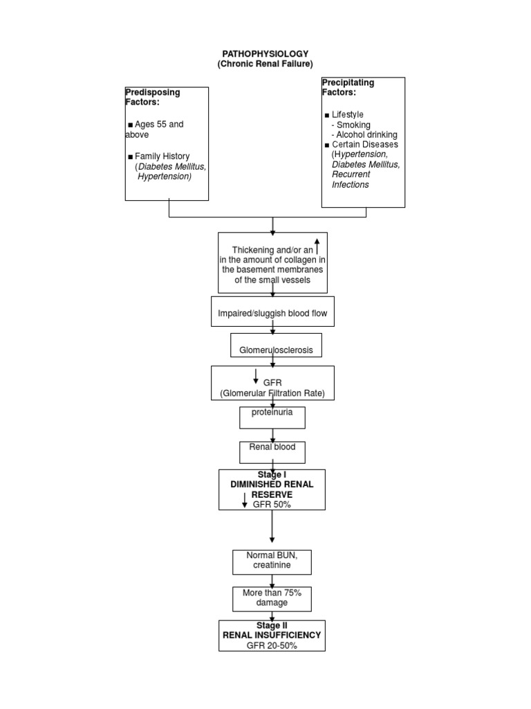 Chronic Renal Failure Pathophysiology | PDF