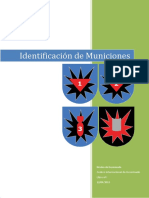 Identificacion de Municiones (Imun) Glosarios