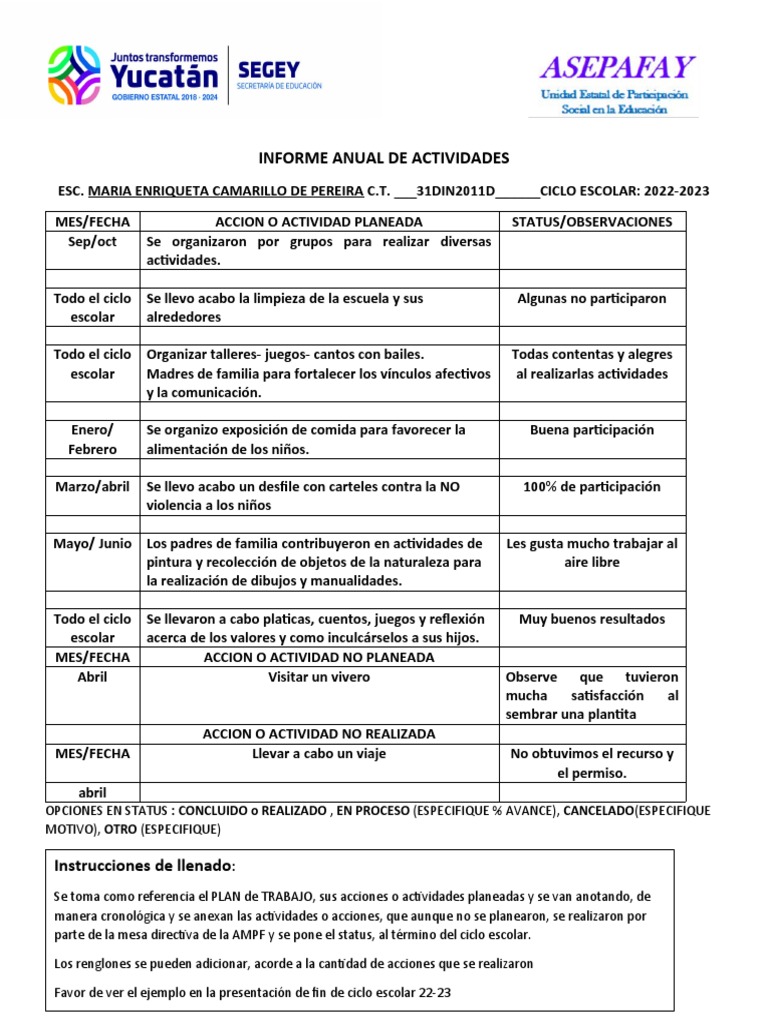 Formato Informe Anual de Actividades | PDF