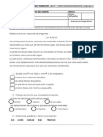 Copia de Evaluacion Diagnóstica de Español Grado Tercero