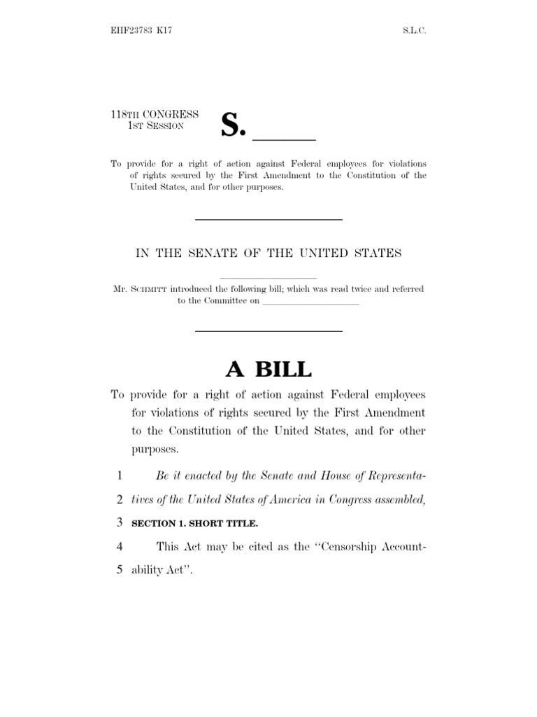 Censorship Accountability Act PDF