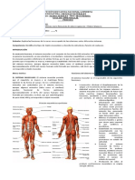 GUIA 8o SISTEMA MUSCULAR