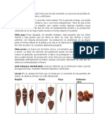 Proyecto Formula y Metodología