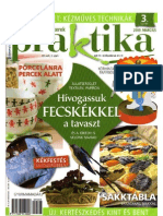 Praktika 2009 márc