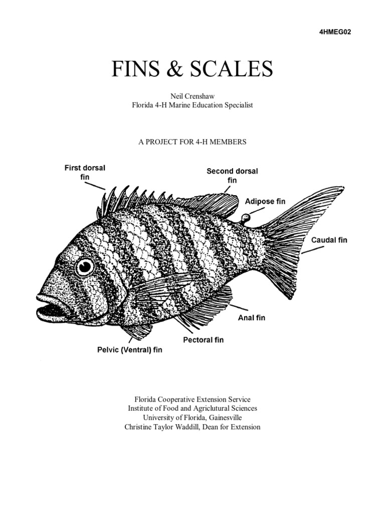Fins and Scales A Project For 4 H Members PDF