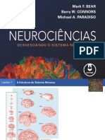 Neurociencias Cap 07