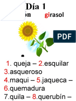 Primer Día Girasol