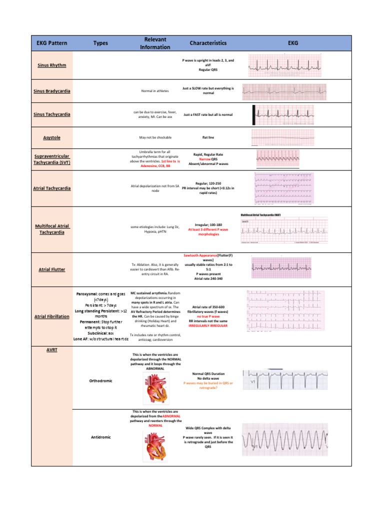 Bunny Ears in ECG Interpretation | PDF