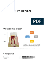 1ra Parte Pulpa Dental