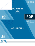 Cluster  voice 3G