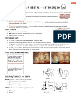 1-Anatomia Dental - Introdução