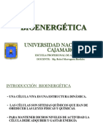 T5 Bioenergetica