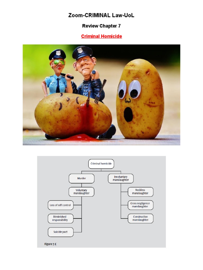 Chapter 7-CRIMINAL Law - Uol.class Notes | PDF