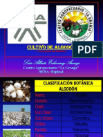1 - Algodon Cultivo - 2015