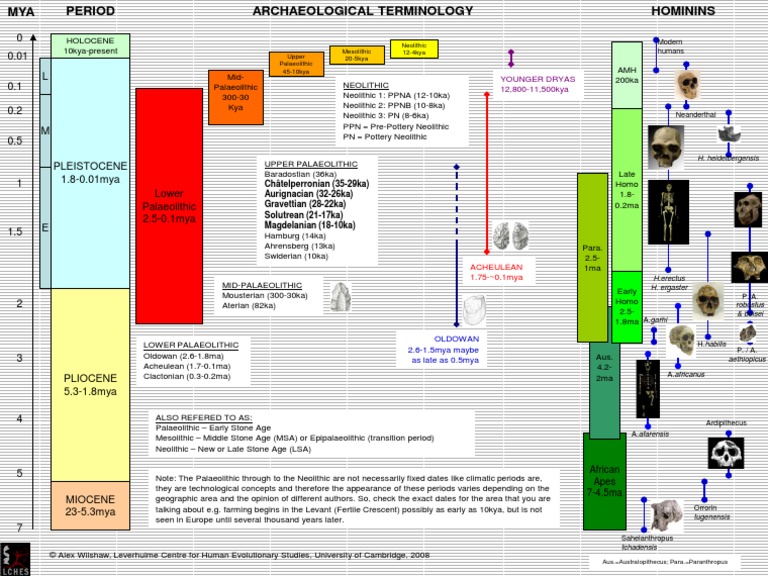 Orientation Timeline Palaeo Geo Arch Fossil PDF Stone Age
