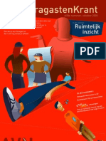 Ruimtelijk Inzicht