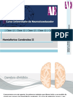 Apunte B - Hemisferios Cerebrales II