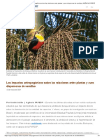 Los Impactos Antropogenicos Sobre Las Relaciones Entre Plantas y Aves Dispersoras de Semillas AGNCIA FAPESP