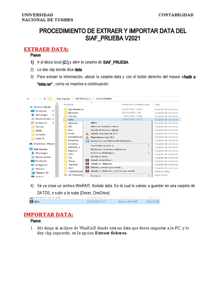 Extracción e Importación de Data SIAF | PDF