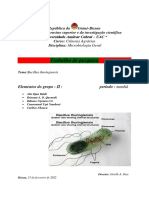 CA-BI-CAR-BRI-ALI - B. Thuringiensis - G-2 (PESQUISA)