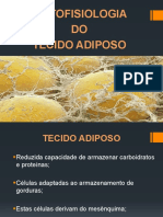 Aula Adiposo PDF