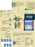 Mapa Mental: Cadena de Suministro y Compras