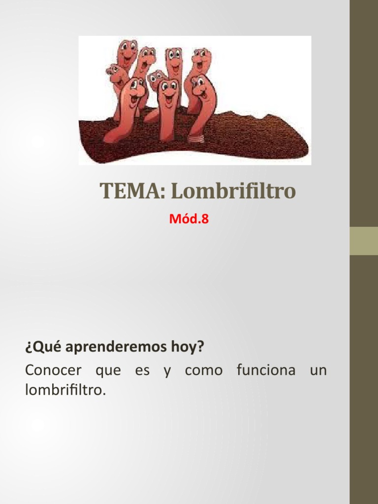 Lombrifiltro PDF Química