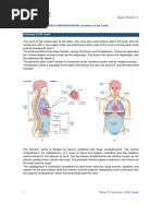 Gross Anatomy of The Trunk | PDF | Abdomen | Thorax