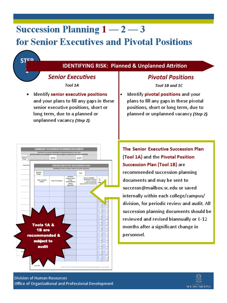 Executive Succession Planning Guide | PDF | Leadership | Goal