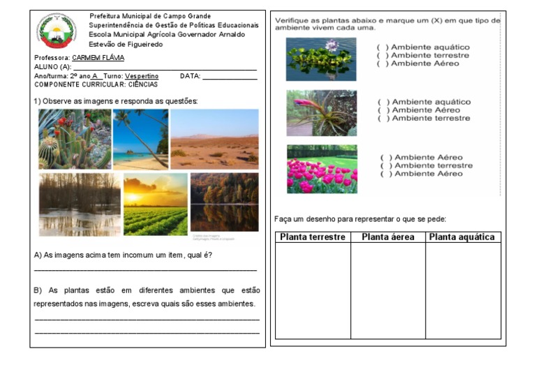 29-08 Ef02ci04 Ambientes Das Plantas | PDF