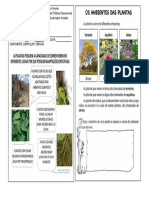 15-08 Ef02ci04 Ambientes Das Plantas