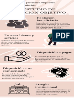 Infografía de Estudio de Población Objetivo