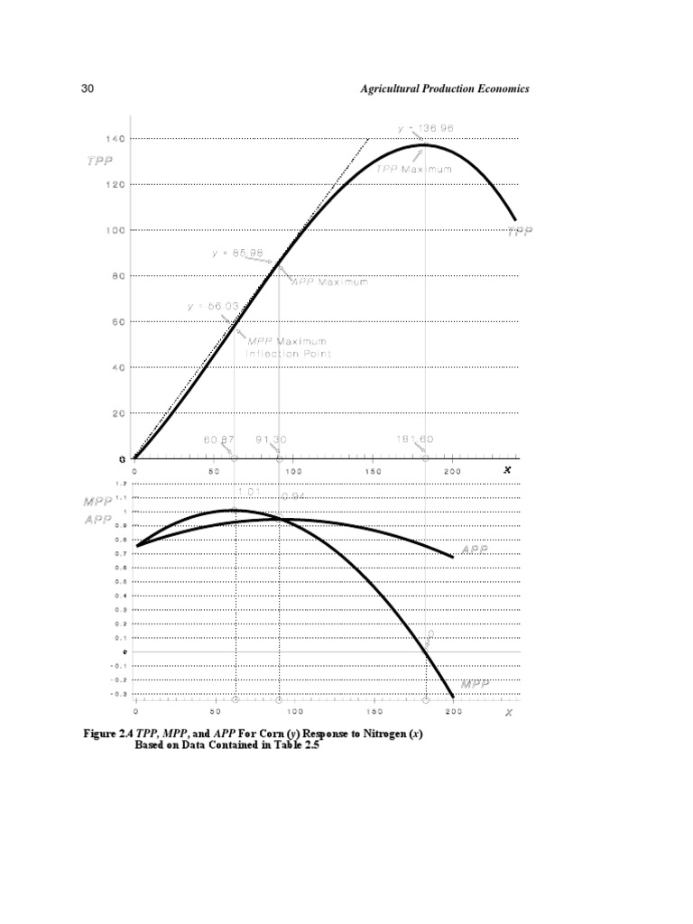 Explain Production Function