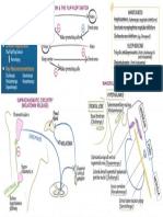 Biology of Sleep & Wakefulness - Draw It To Know It