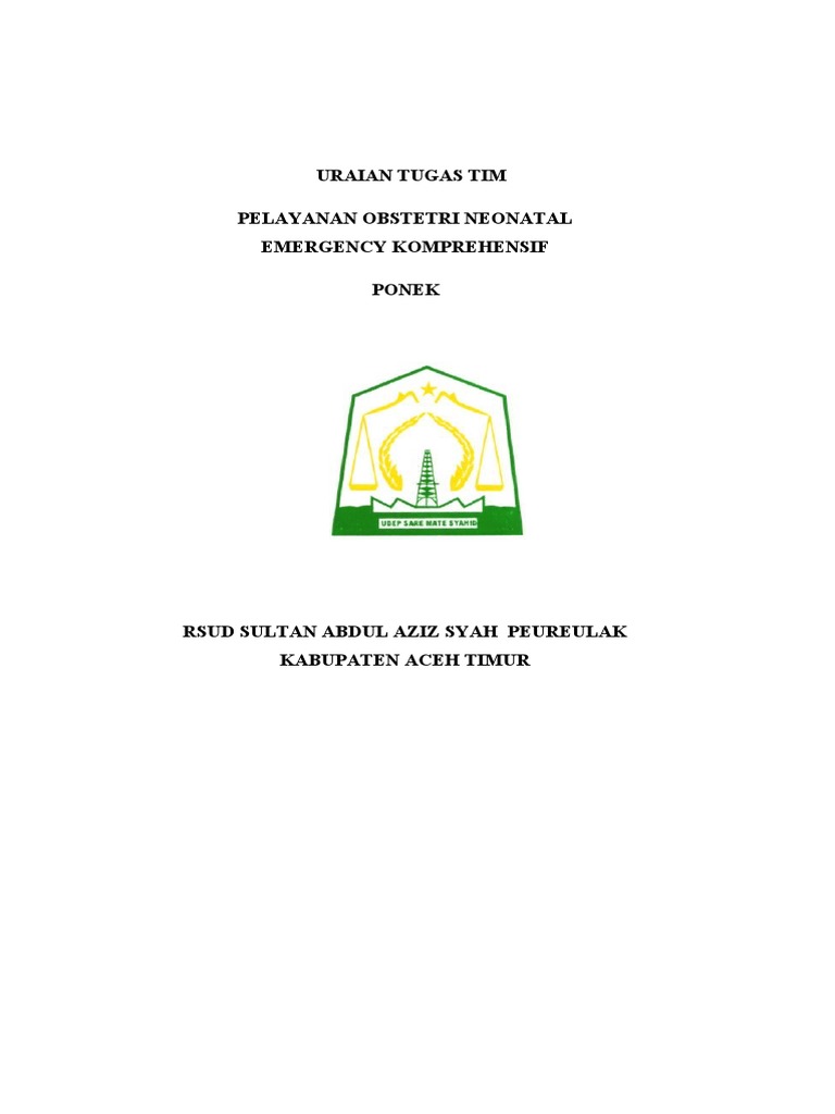 Tugas Tim PONEK RSUD Aceh Timur | PDF