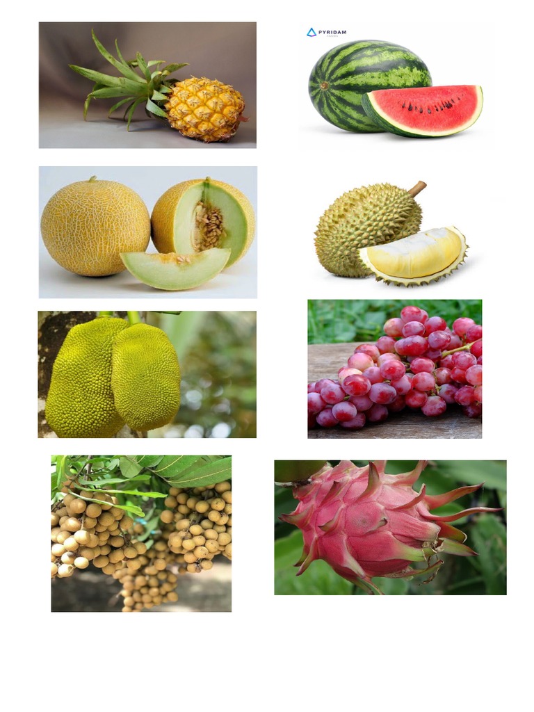 Gambar Hewan Dan Buah | PDF