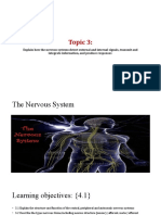 Topic 3 - Nervous System
