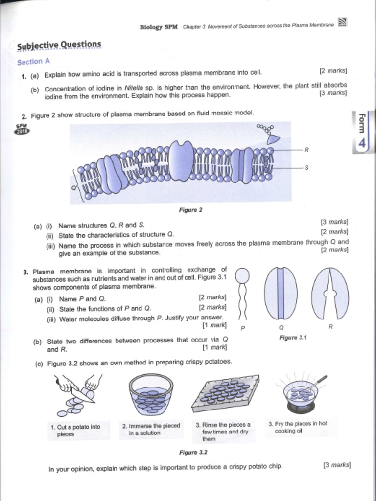 Form 4 biology chapter 3 pdf
